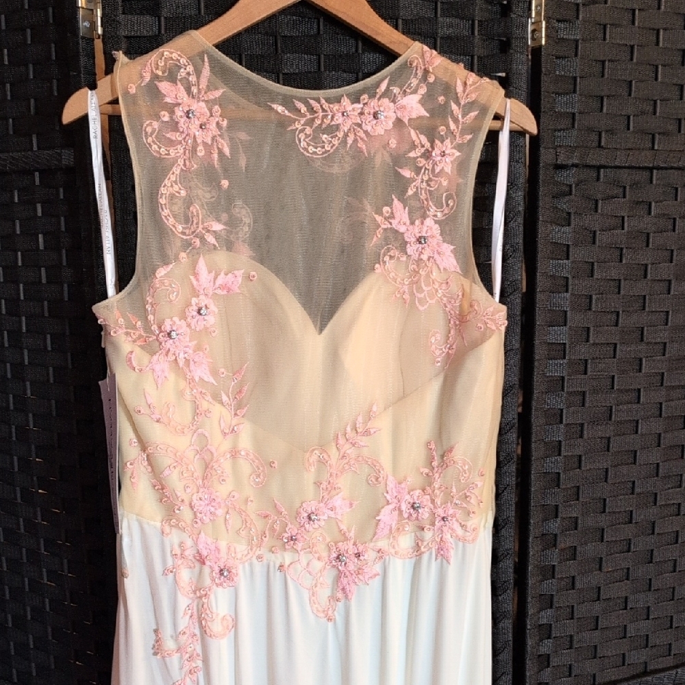 Rachel Allan Pink Appliqué Illusion Bodice Maxi Dress - Picture 6 of 11